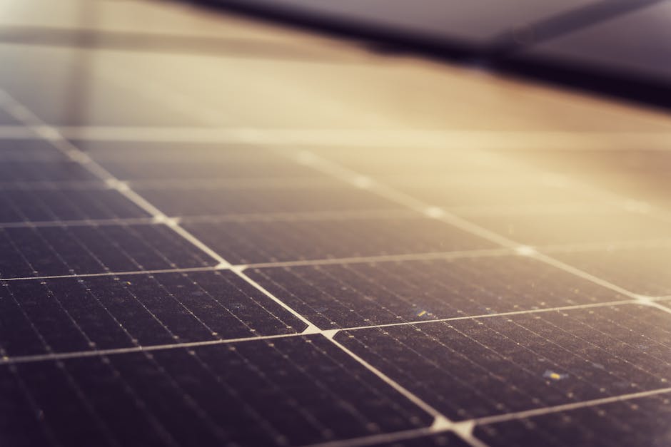 Sunlight hitting solar panels